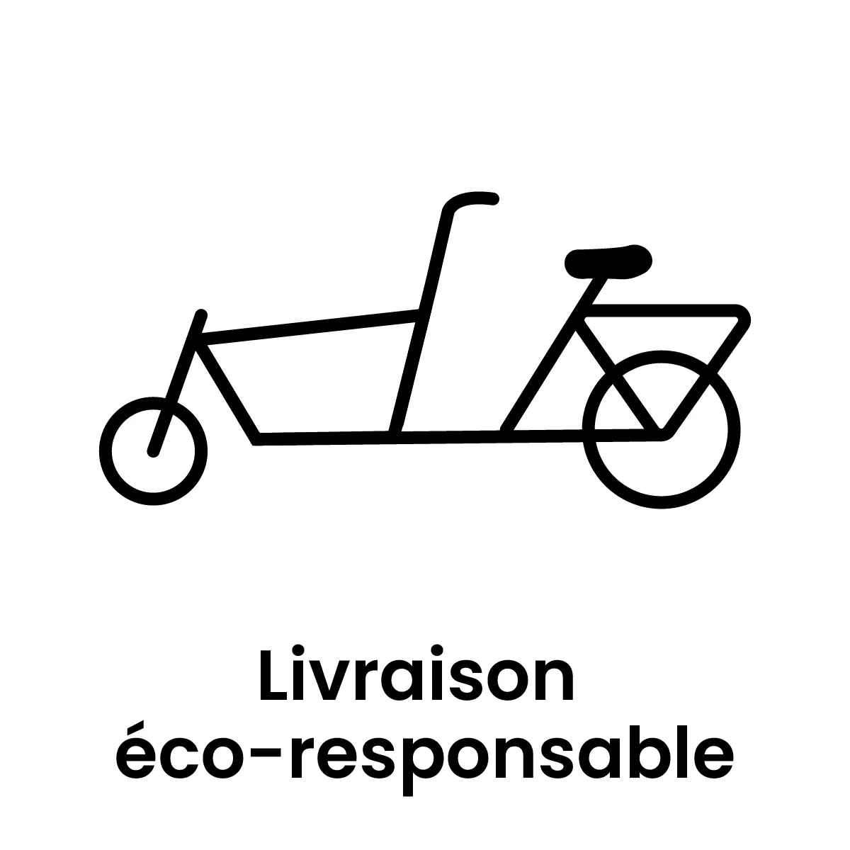 Pictogramme livraison éco-responsable