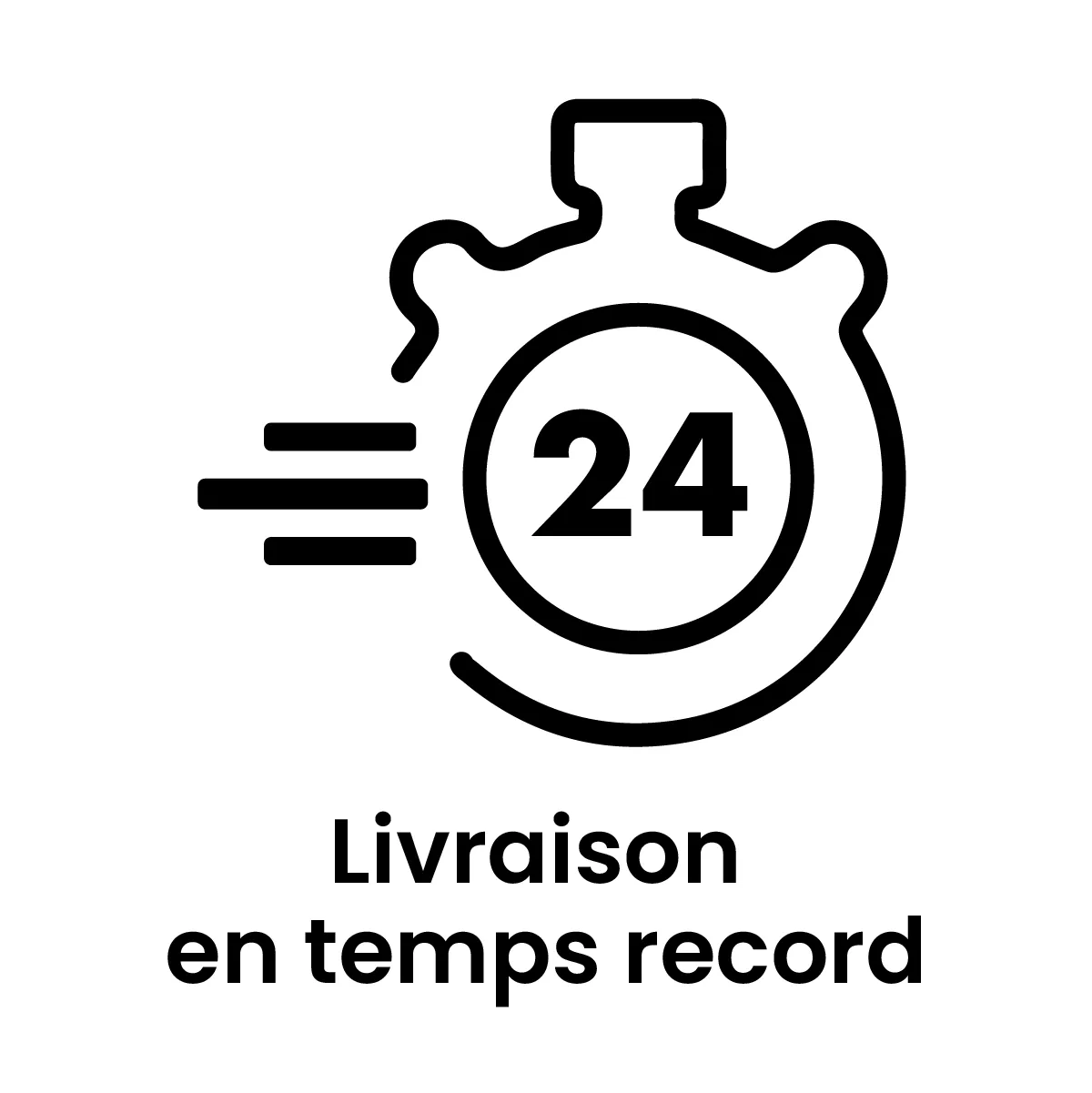 Pictogramme livraison en temps record 